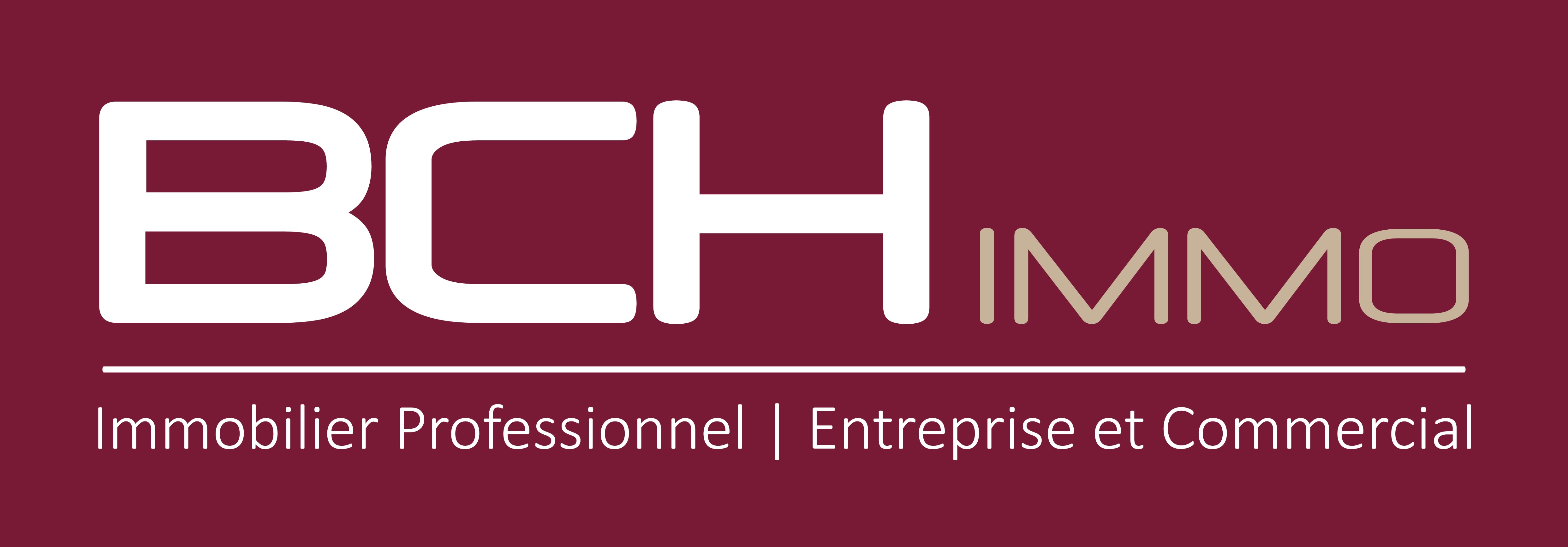 BCH IMMO LOGO