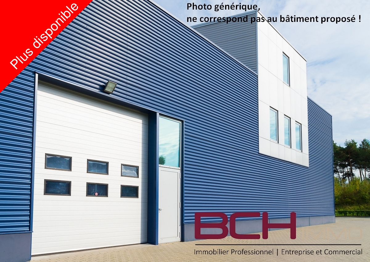 Entrepts & Locaux d'activit - Aubagne