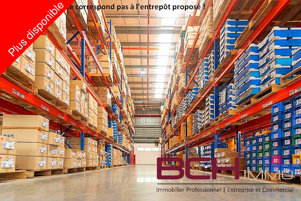 Entrepts & Locaux d'activit - Marseille 11me