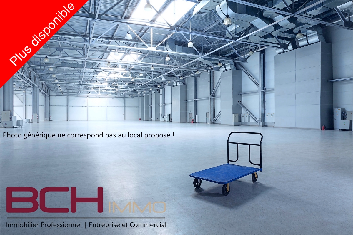 Entrepts & Locaux d'activit - Marseille 11me