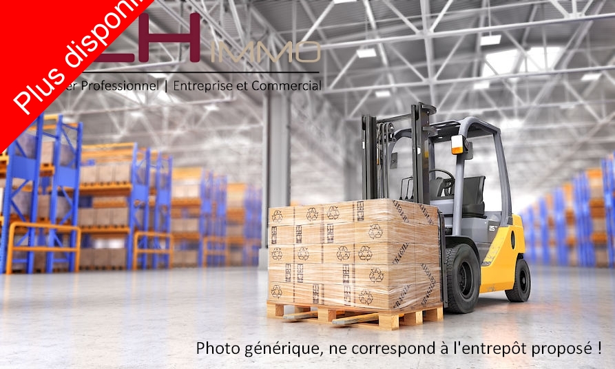 Entrepts & Locaux d'activit - Marseille 11me