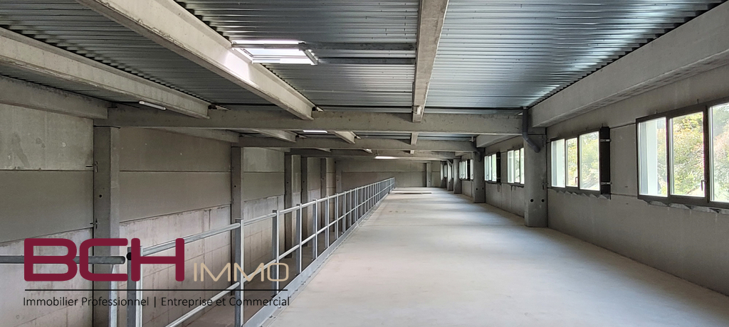 Entrep�ts & Locaux d'activit� - La Ciotat