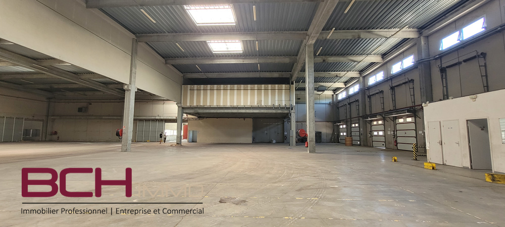 Entrep�ts & Locaux d'activit� - Rognac