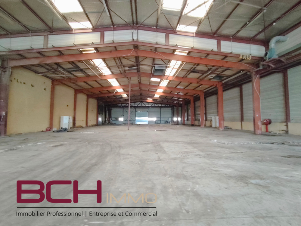 Entrep�ts & Locaux d'activit� - Rognac